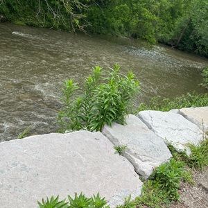 Meet your Posher, Gerald